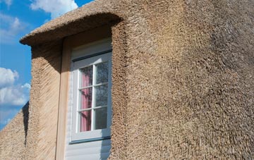 Carnkie thatch roof disadvantages